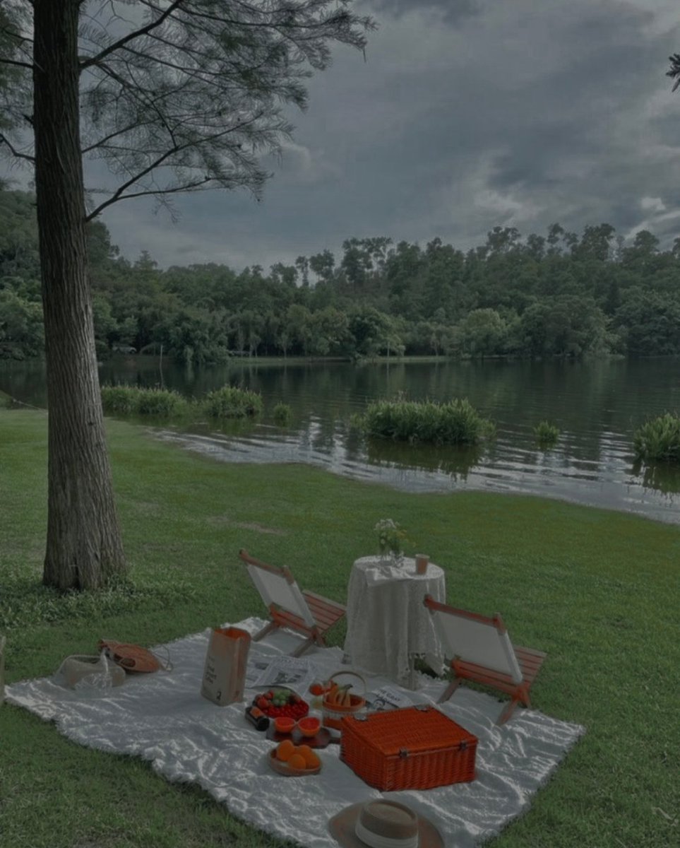 ͏͏ ͏ ͏͏ ͏͏͏͏ ͏ ͏͏͏͏ ͏͏ ͏͏ ͏͏͏𝖒. 𝓿𝐨𝐥𝐤𝐨𝐯𝐚. tweet media