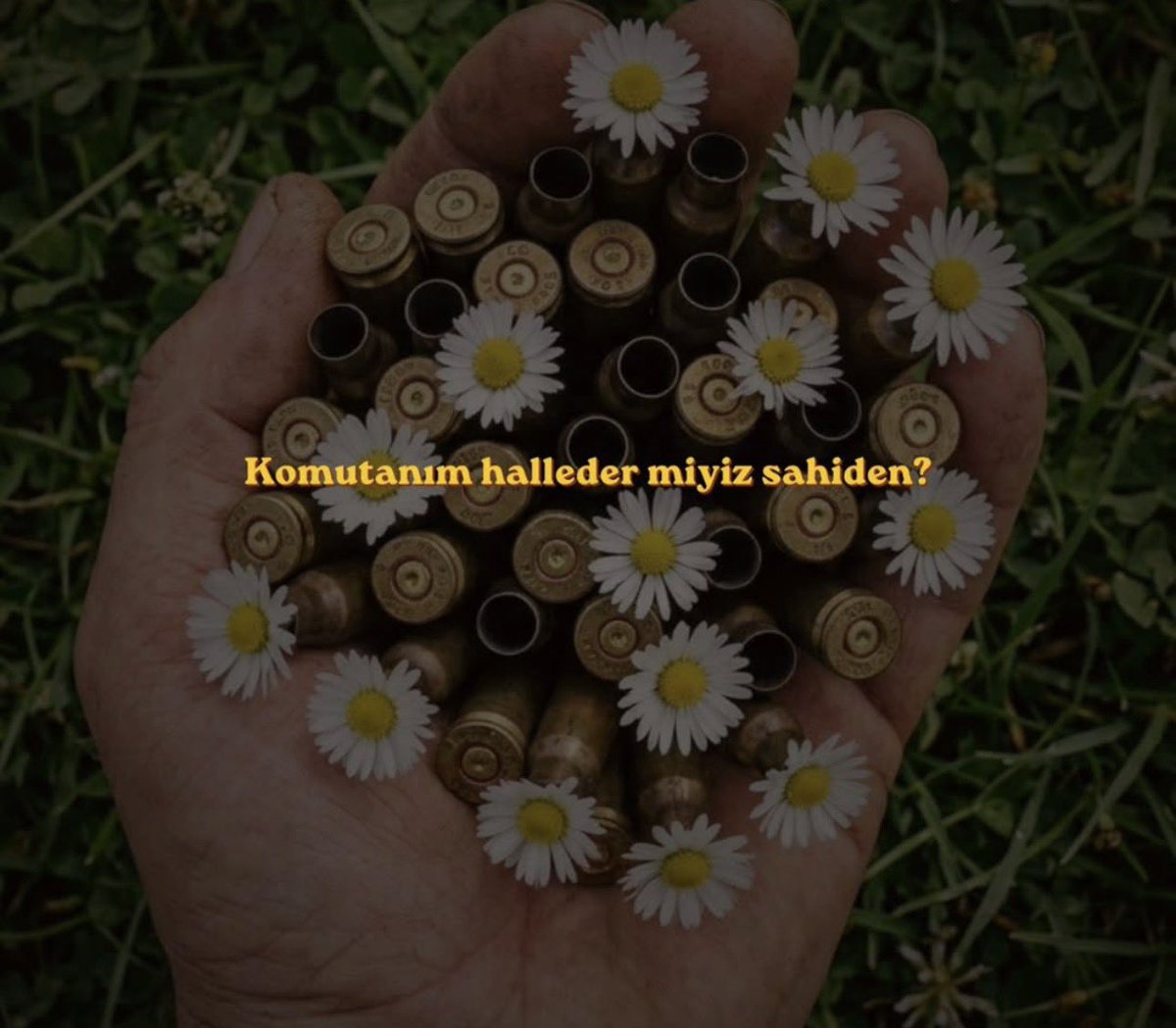 Onb.Ghost tweet media