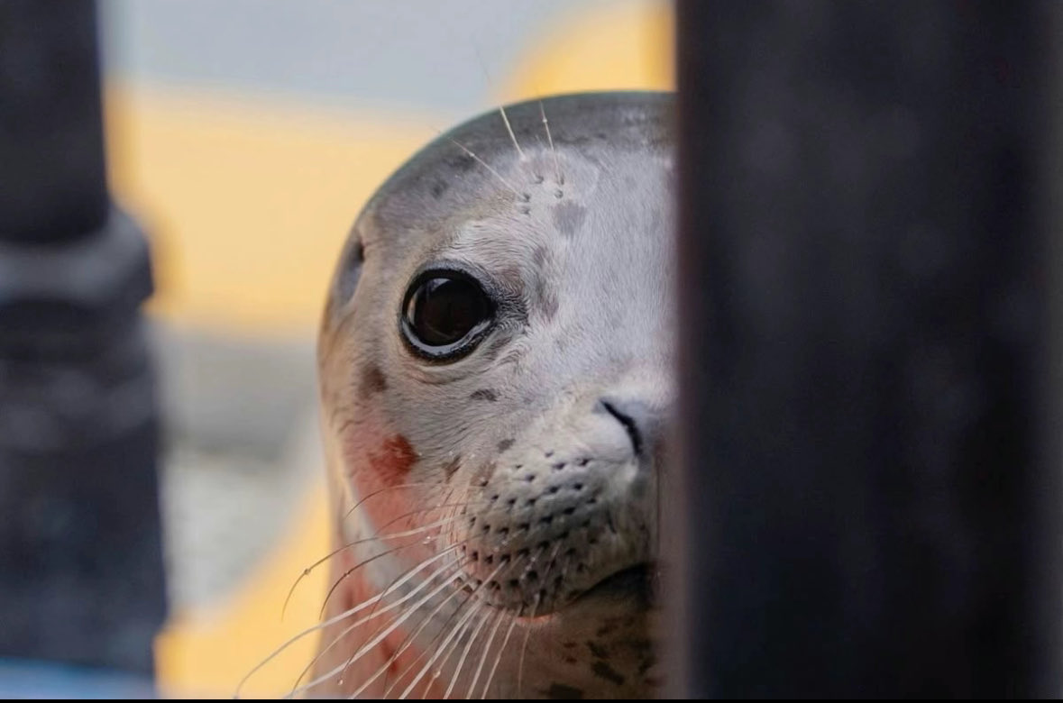 RandoToTheMoon tweet media