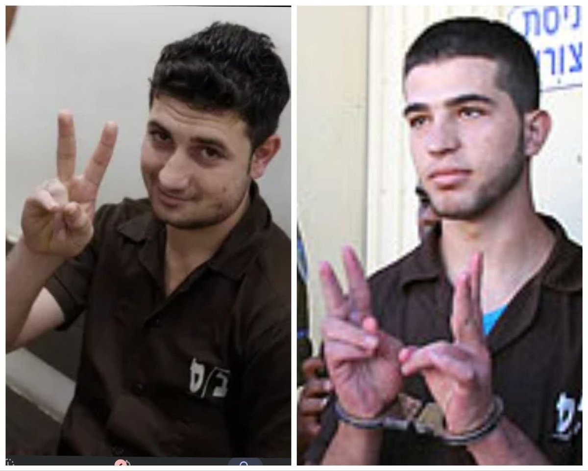 Monica Laredo tweet media