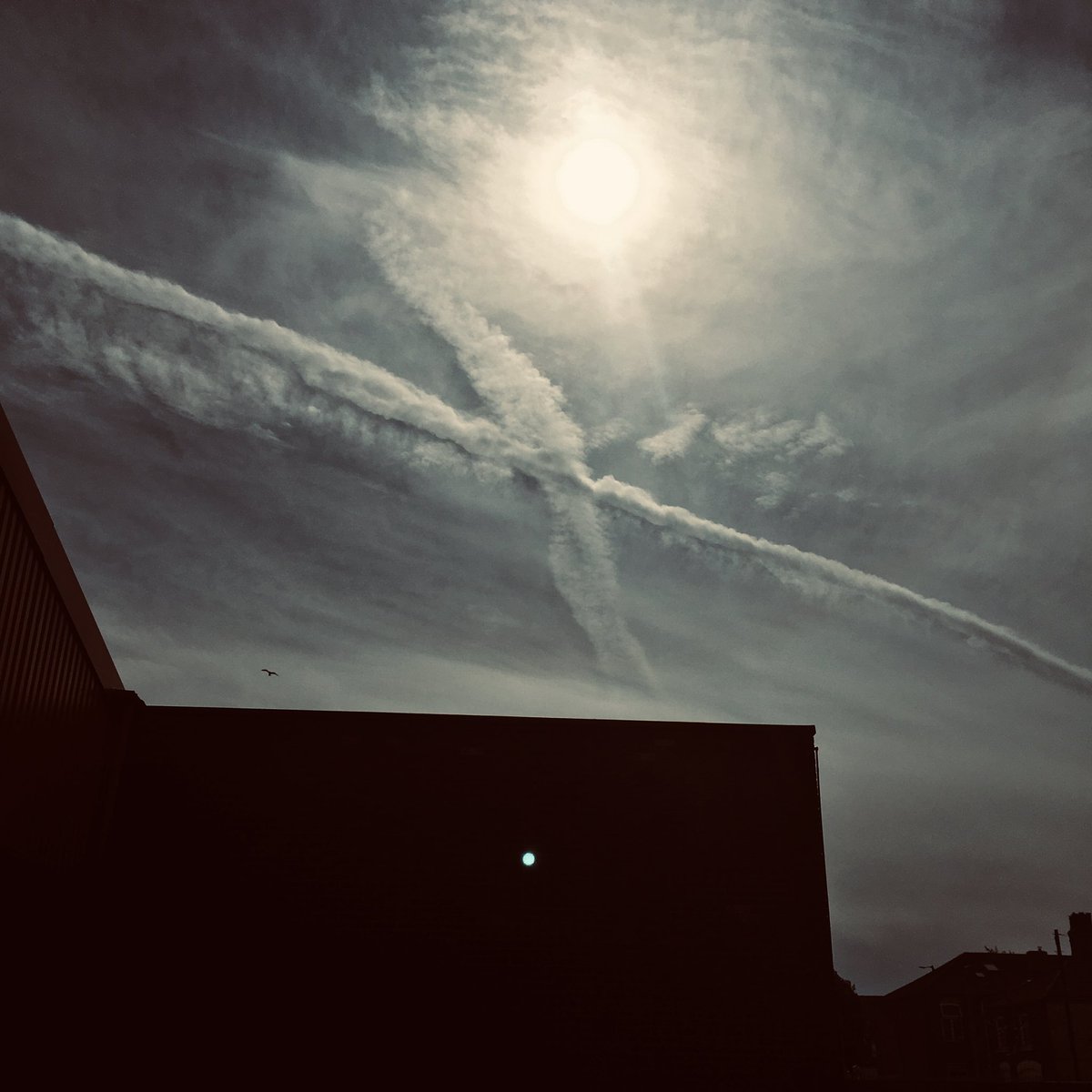 shill bankley tweet media