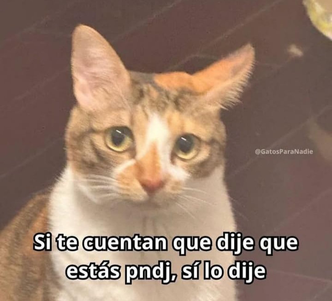 Emma Gentille tweet media