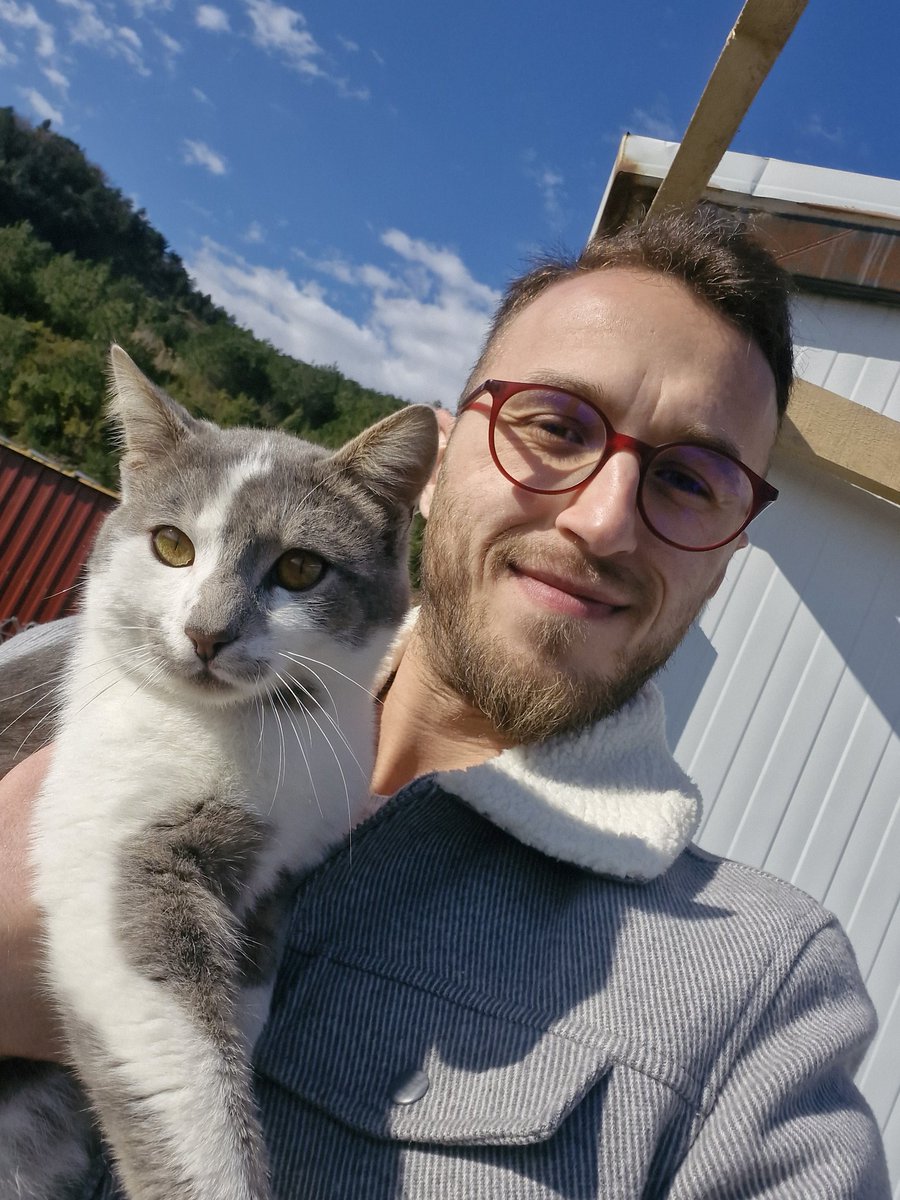 Erkek kediler adamdır ve erkek kedi yakışıklılığı diye bir şey var ama bu çok üst düzey bir şeydi ya. Şu yakışıklılığa bak...