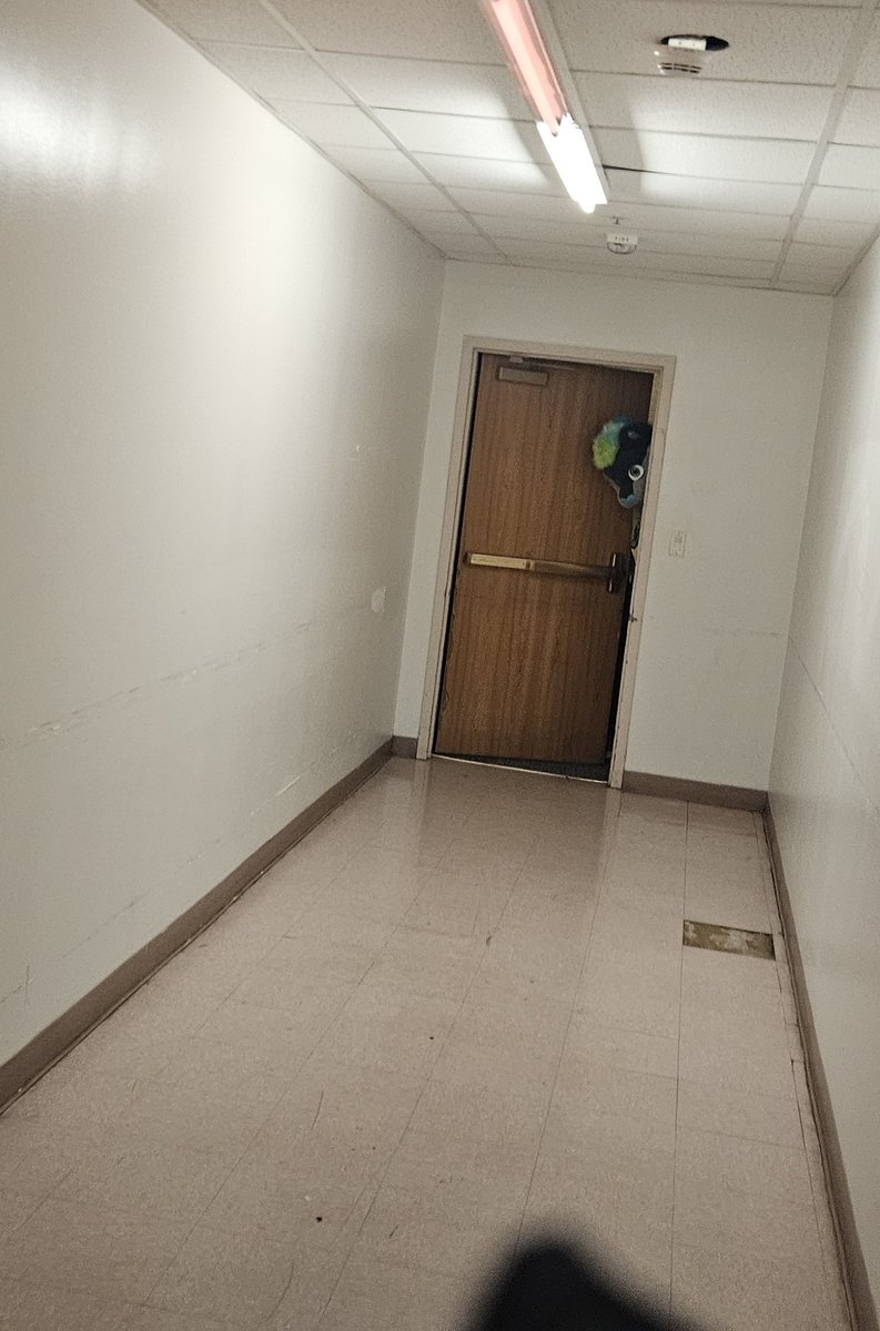 BEYOND BINARY tweet media