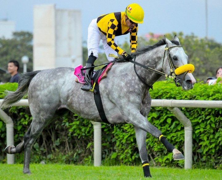 Julio Guimaraes tweet media