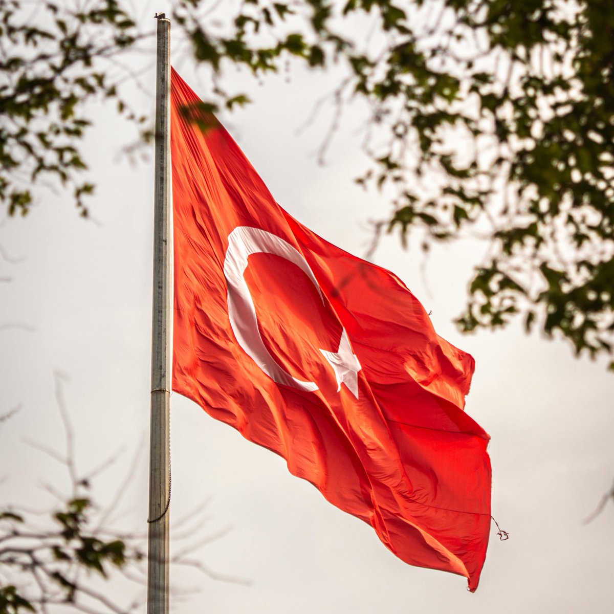 Boşuna Tıklama tweet media