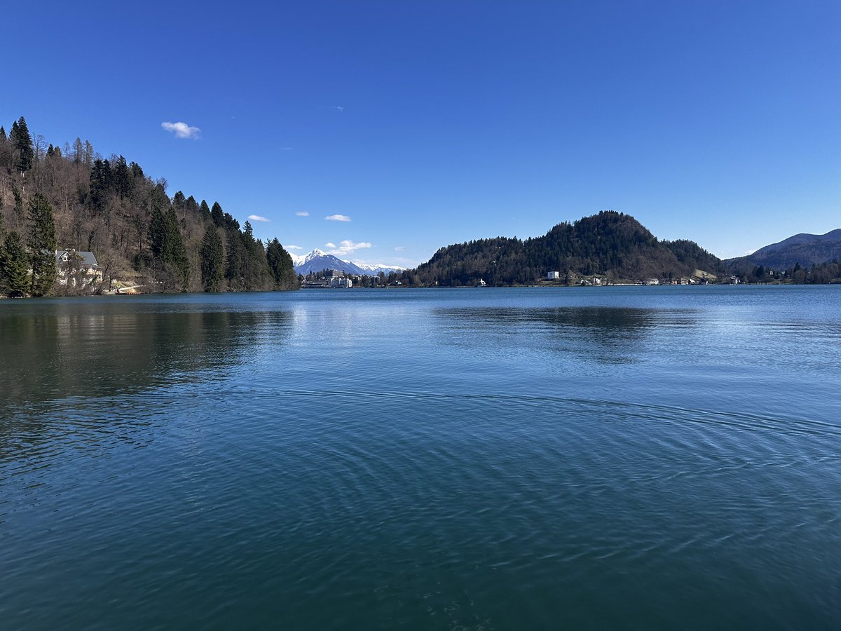 Piotruś tweet media