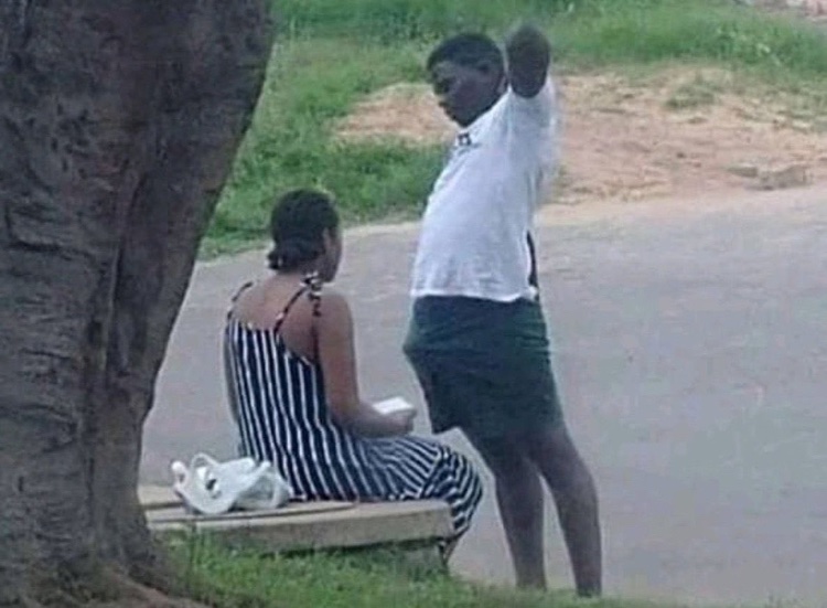 𝐁𝐋𝐈𝐙𝐙 tweet media