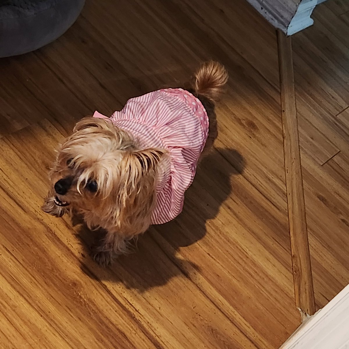 UltraBV64➕ tweet media