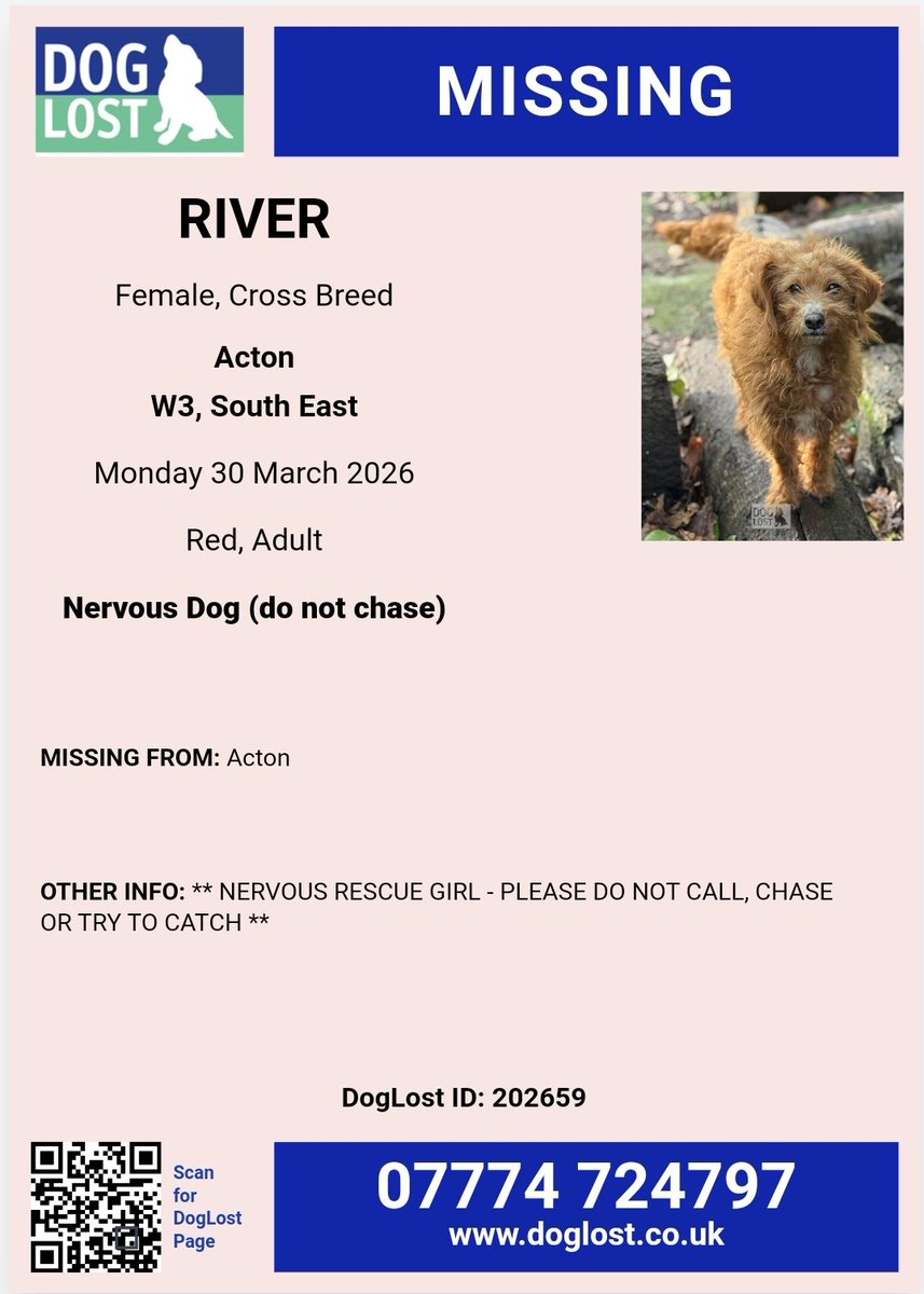 Missing Pets GB tweet media