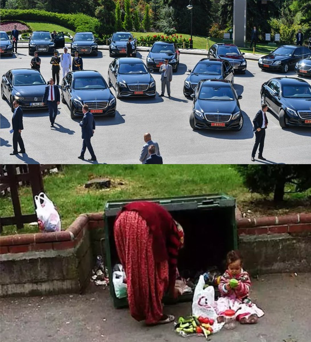 Şeref Oğuz tweet media