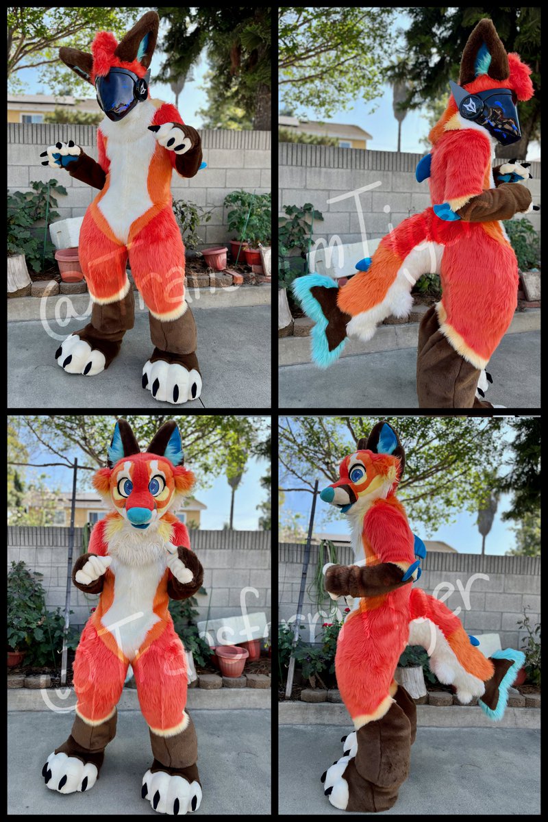 🐯Flāmie Tiger🐯/ TransformTiger tweet media