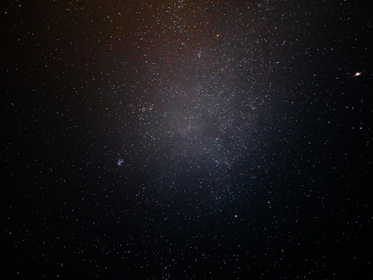 Entro 🔭 tweet media