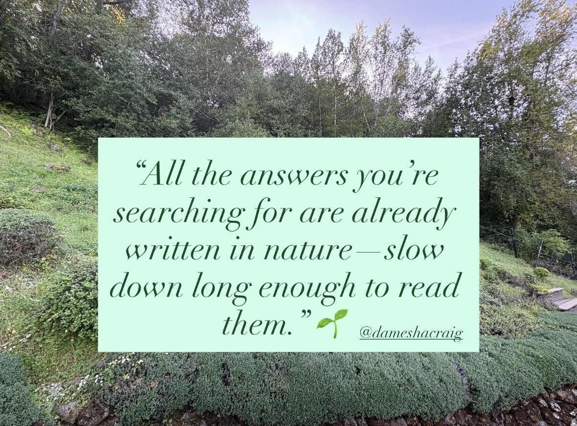 DameshaCraig's tweet photo. When was the last time you slowed down enough to really listen? 🌿 https://t.co/kr65hJWNDW