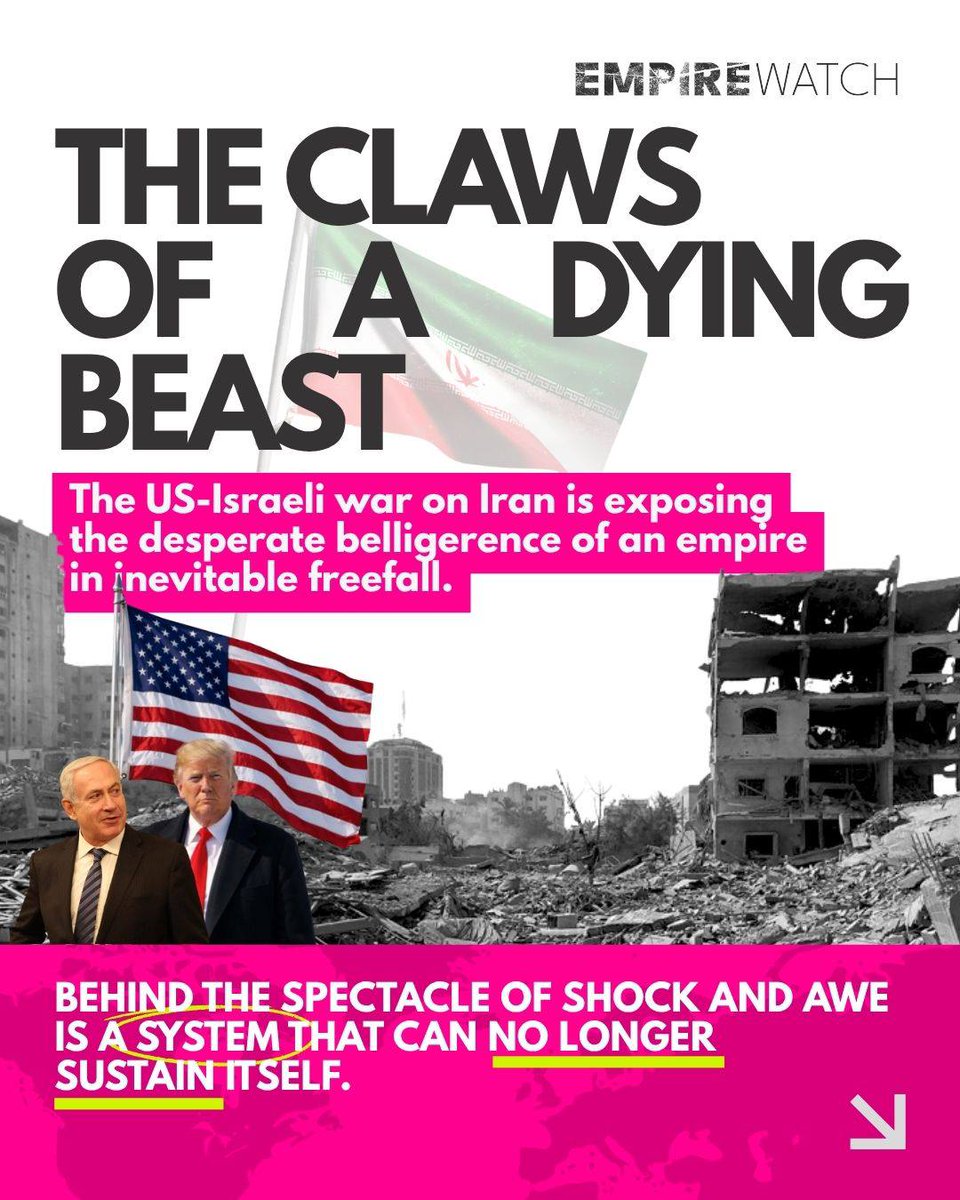 Ileana Chan tweet media