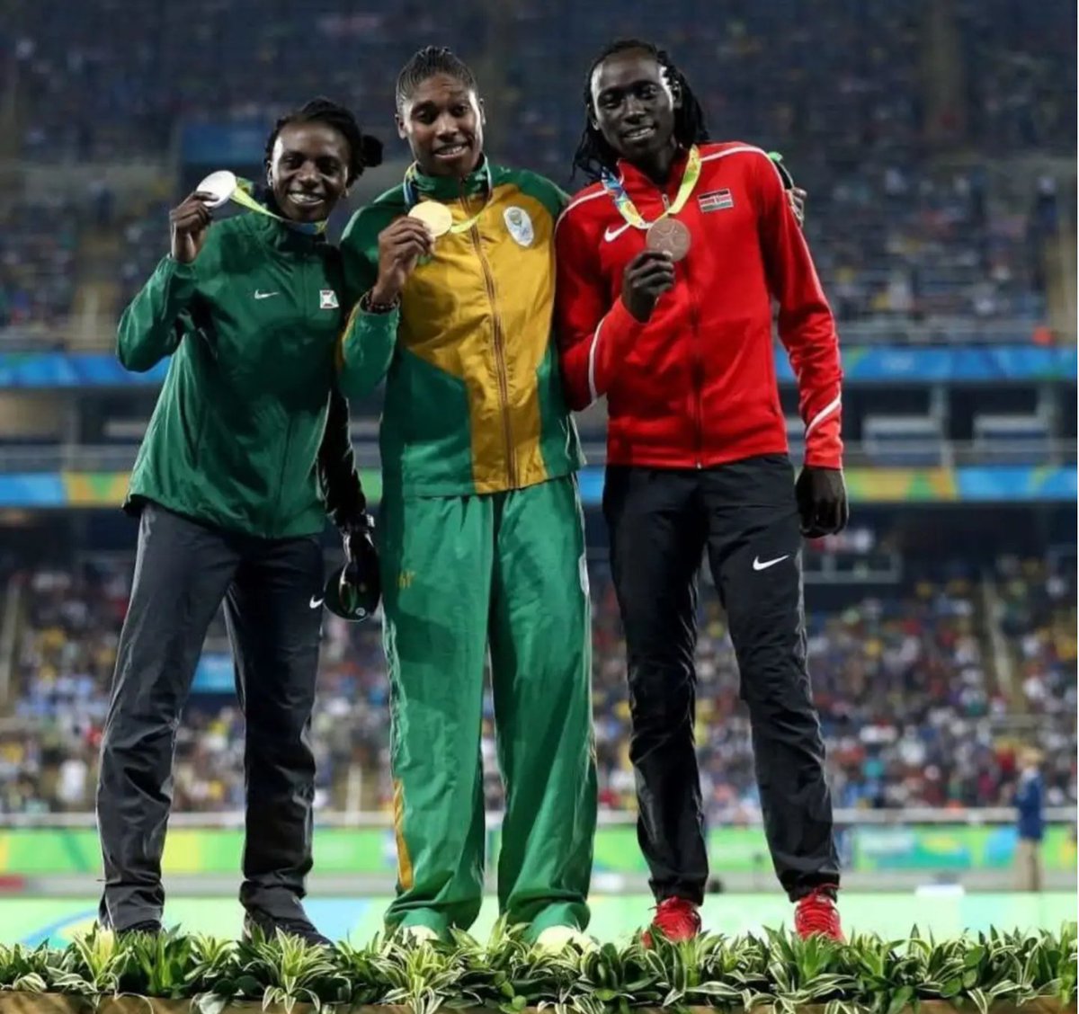 highprotein tweet media