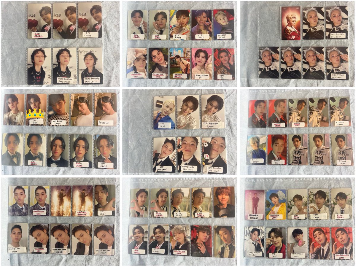 わんこみかん tweet media