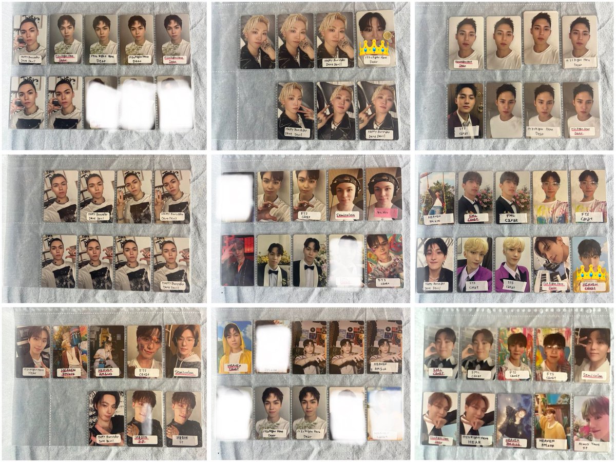 わんこみかん tweet media