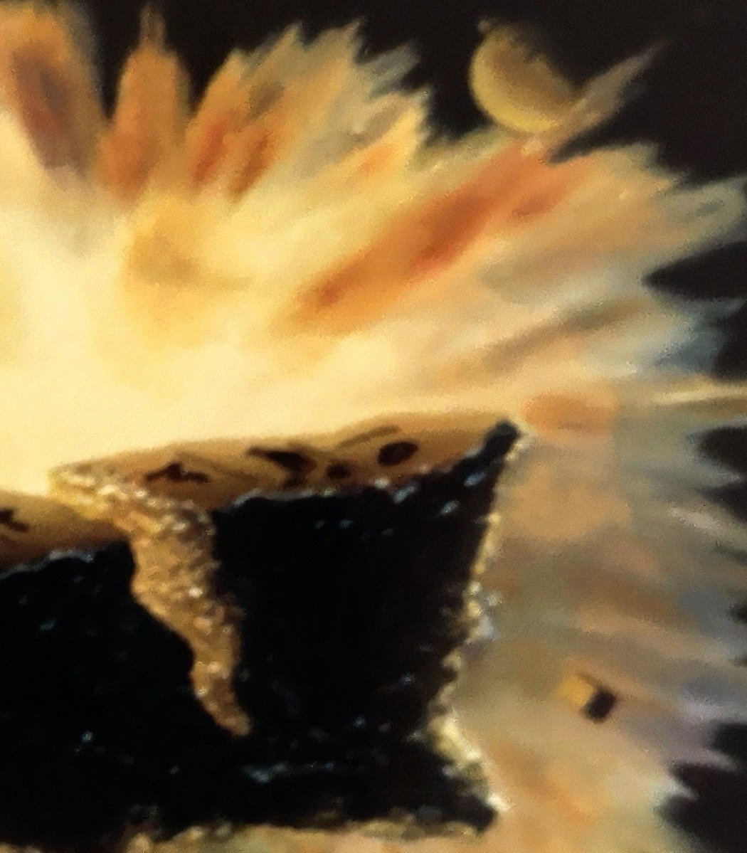 s.lamonica tweet media