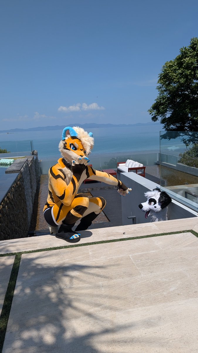 ⚡️CheetahPaws 獵豹爪⚡Thaitails - HiFurry tweet media