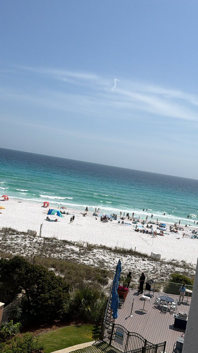 Thebeardedone76 tweet media