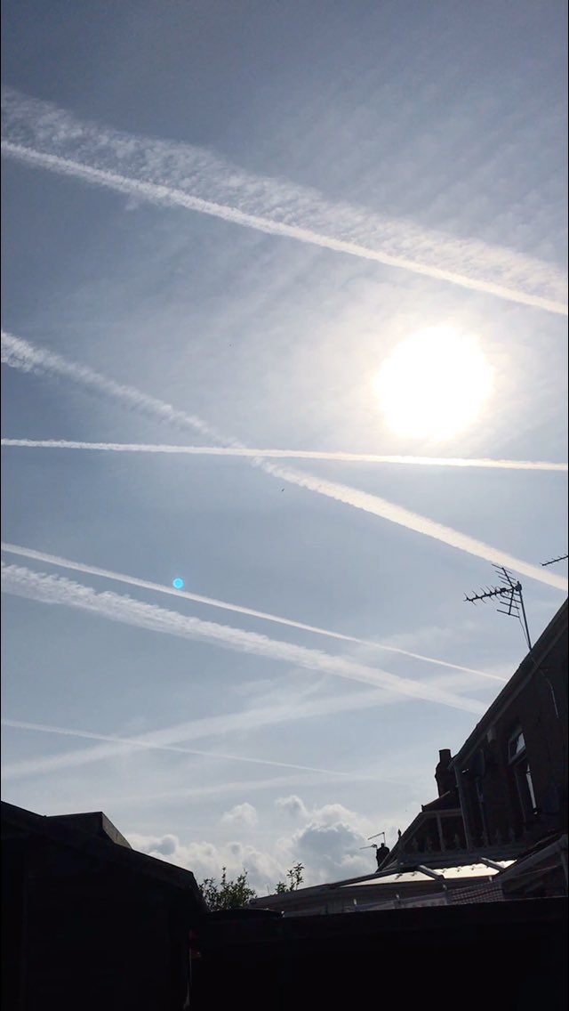 shill bankley tweet media