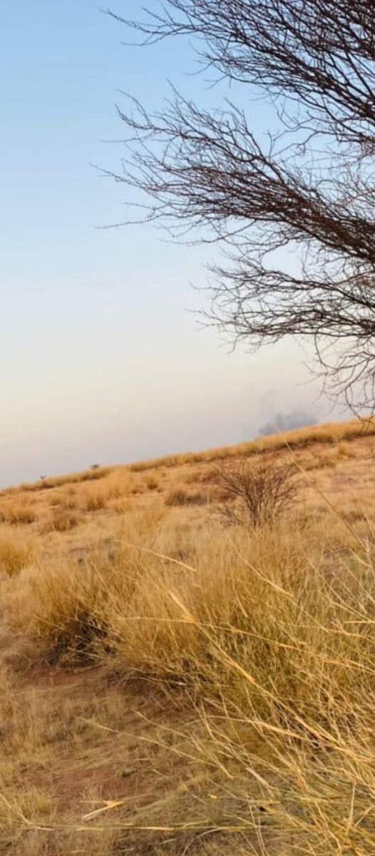 Abdallah ag ⴰⵣⴰⵓⴷ tweet media