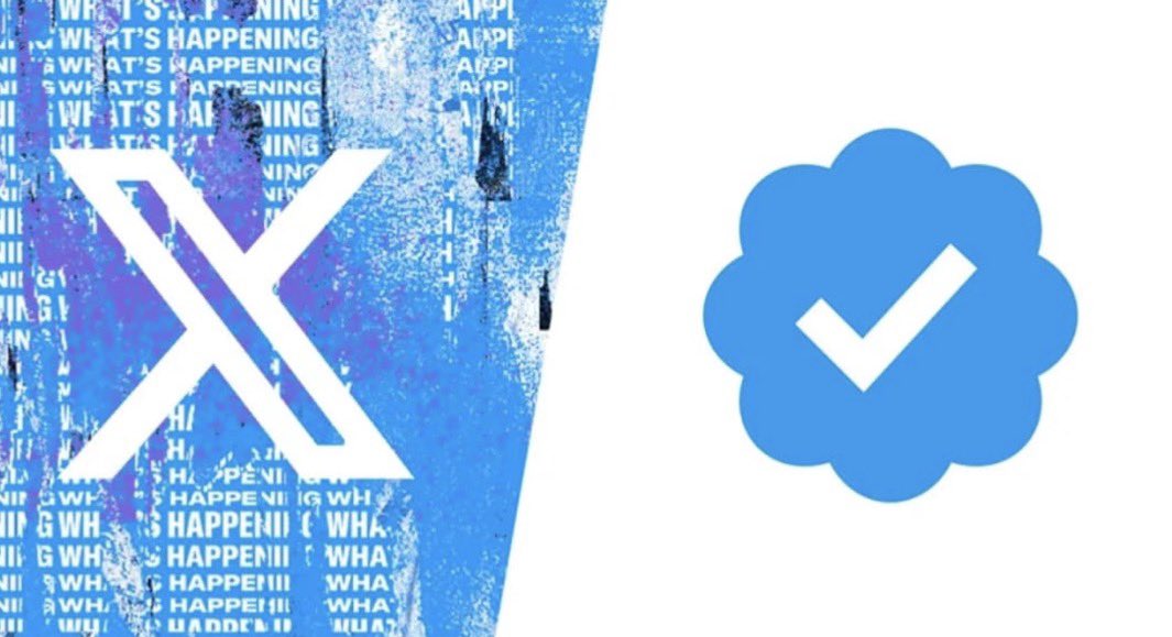 Tubarão Albino tweet media