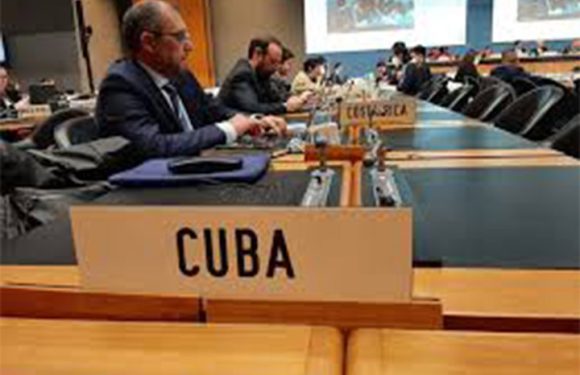 Nelson Francisco Reyes González tweet media