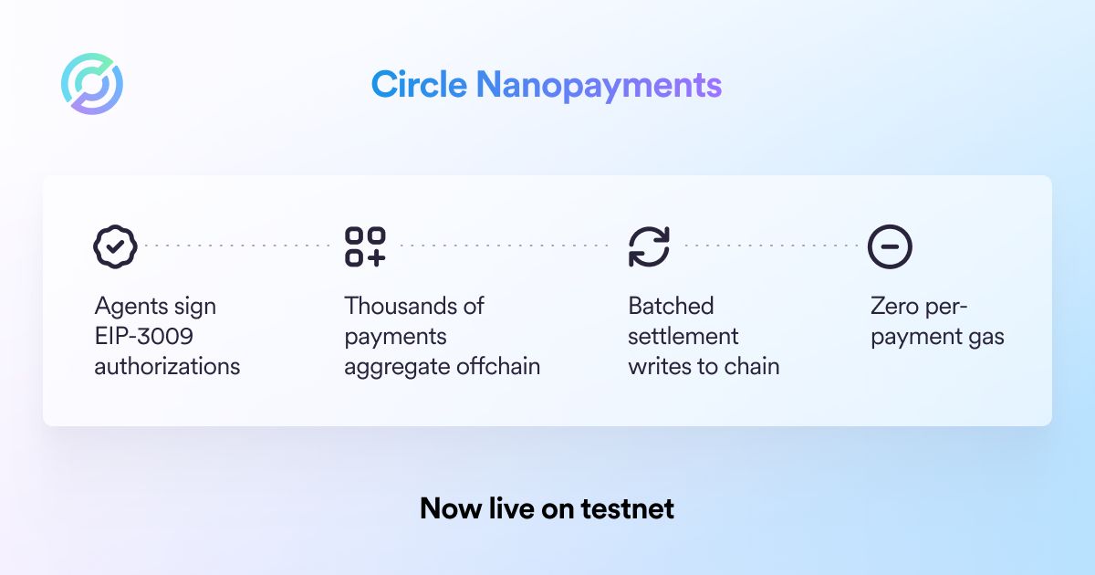 Circle tweet media