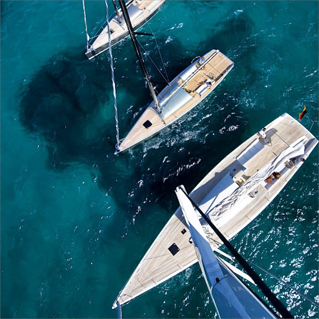 Delight Moments tweet media