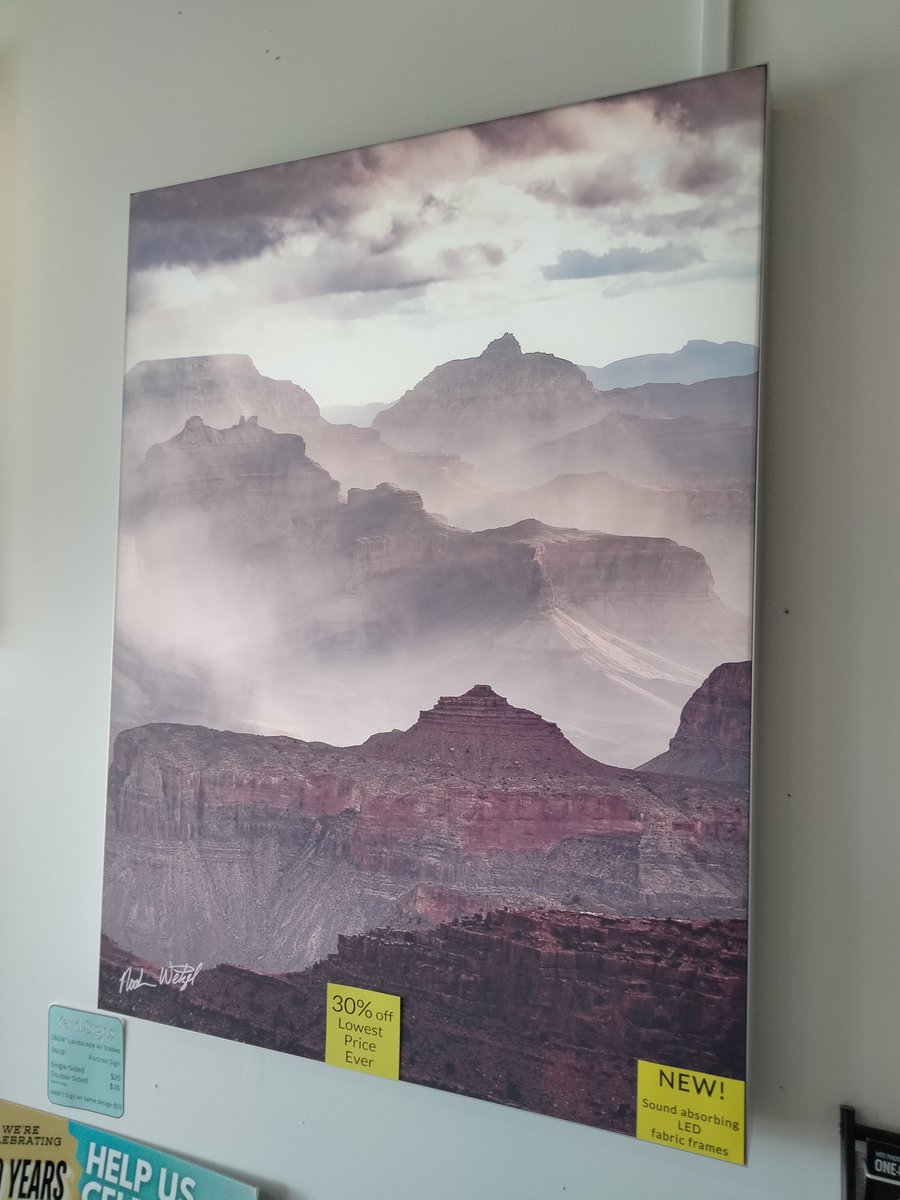 Ted Cantu tweet media