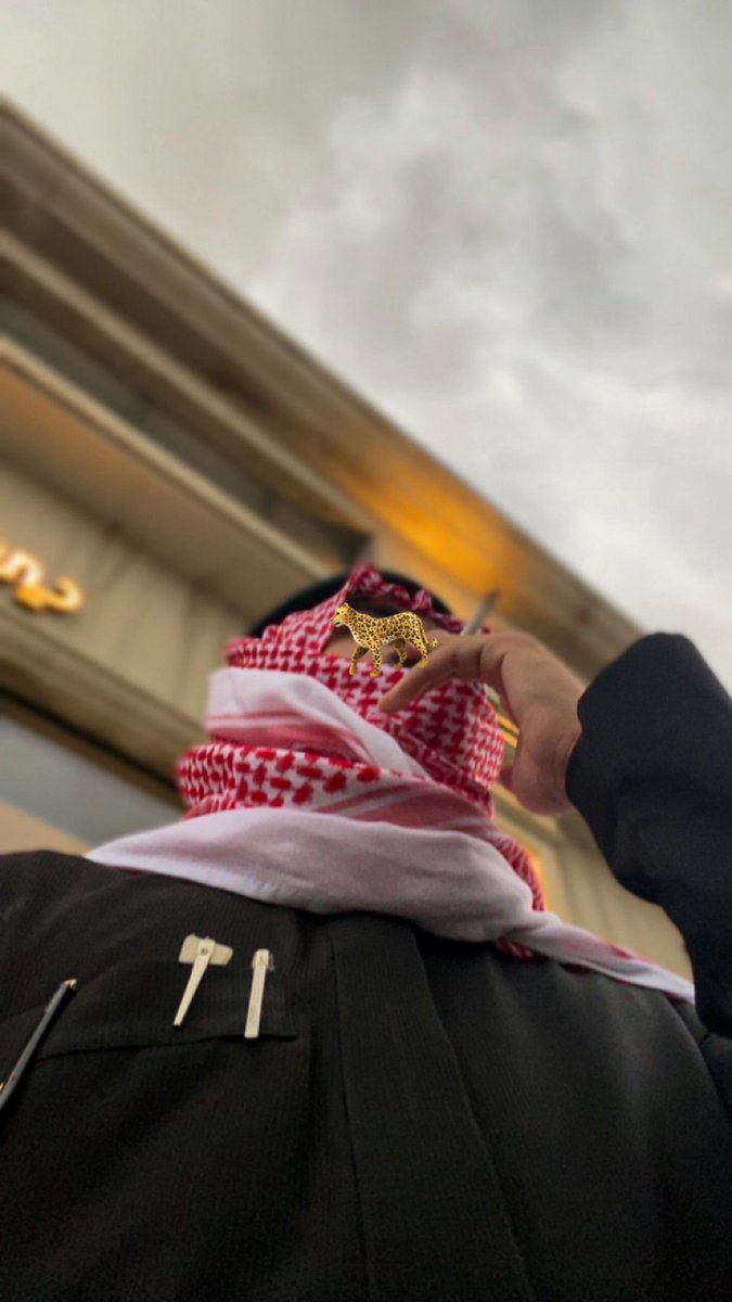 والتر | WALTR tweet media