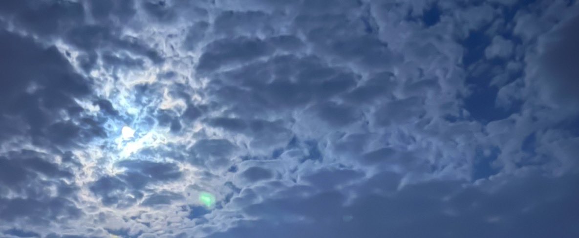 يحـقـلك tweet media