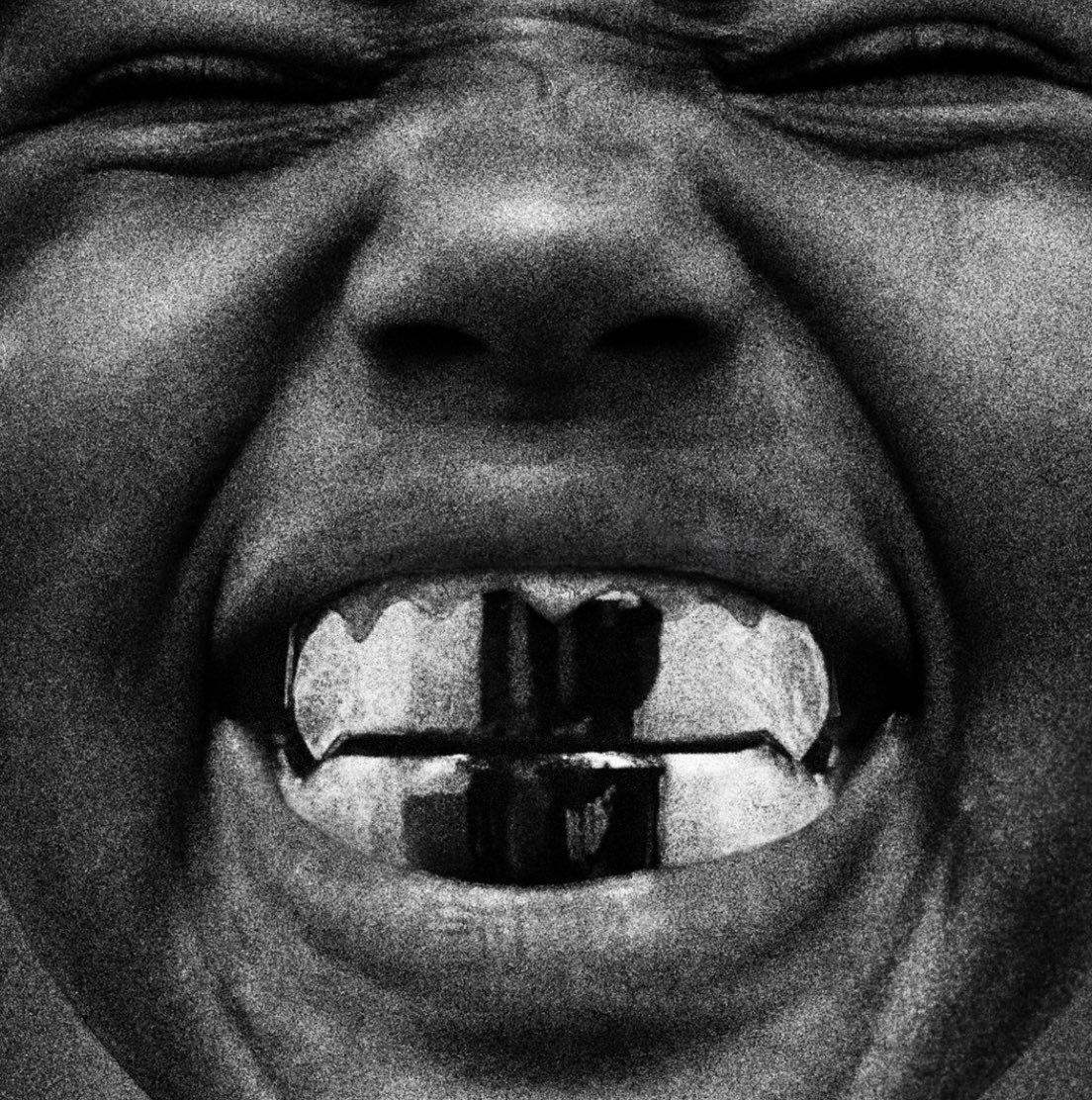 SHREK KNOWS RAP tweet media