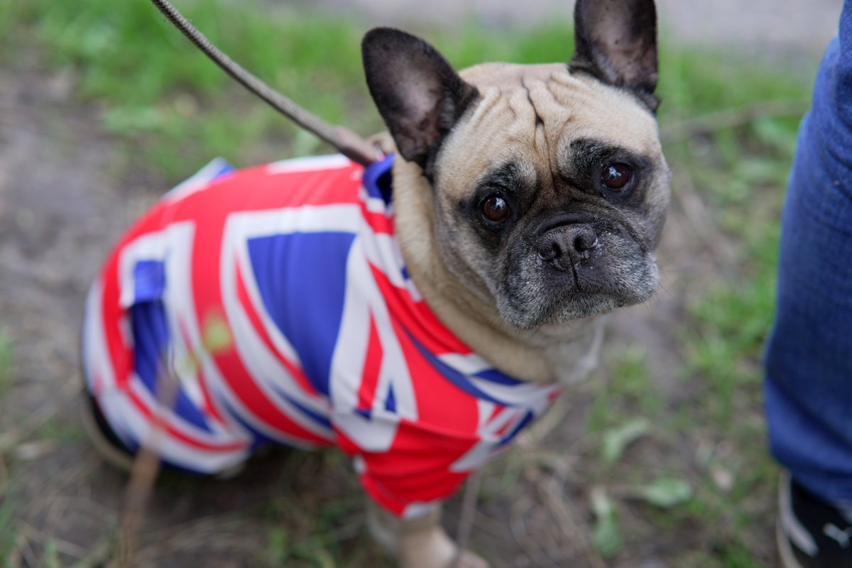 Russian Garbage Human tweet media