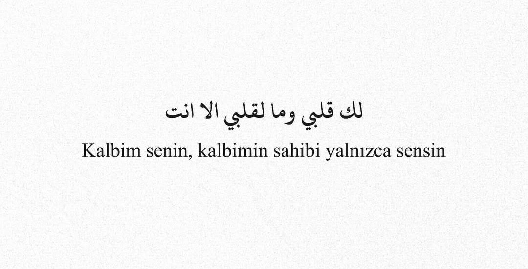 ••✦ нαηι αl-ѕнα'αιвι ✦•• tweet media