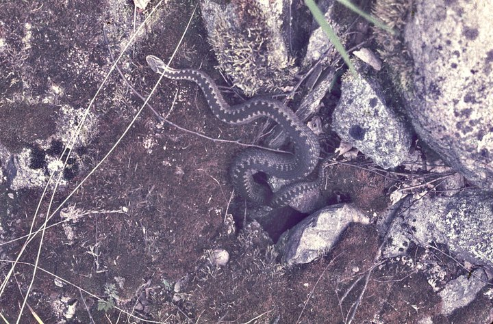 Elo-Mall Toomet tweet media