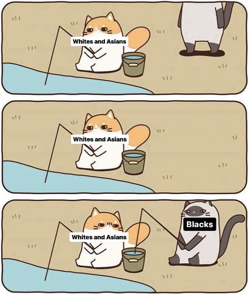 NotSeeSeoul tweet media