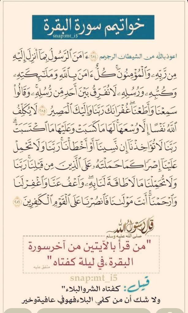 ♡شريفة المجدوعي♡ tweet media