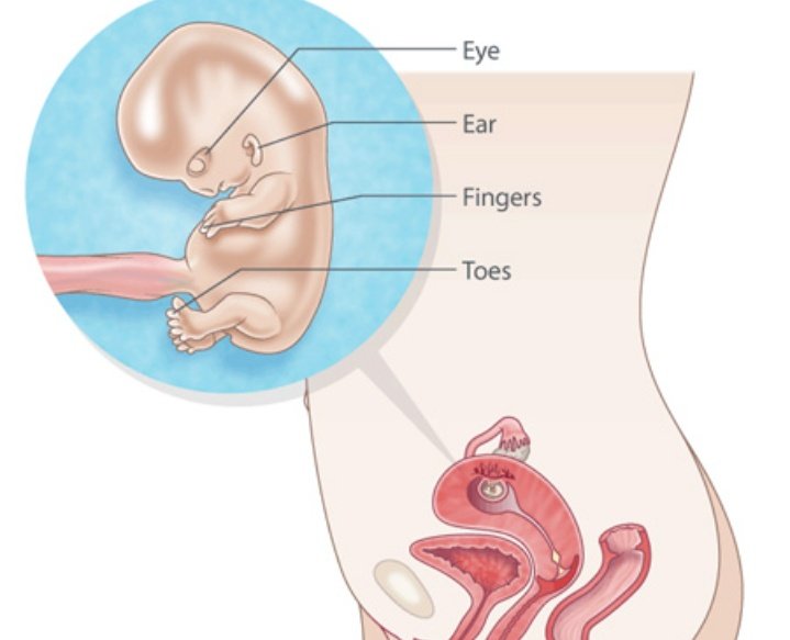 Einien J 💙🇫🇮🇺🇦🇬🇱🇪🇺🤘🏻 tweet media