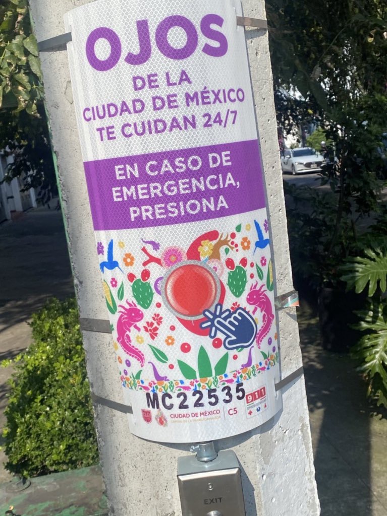 Luis Alberto | VisualMente tweet media