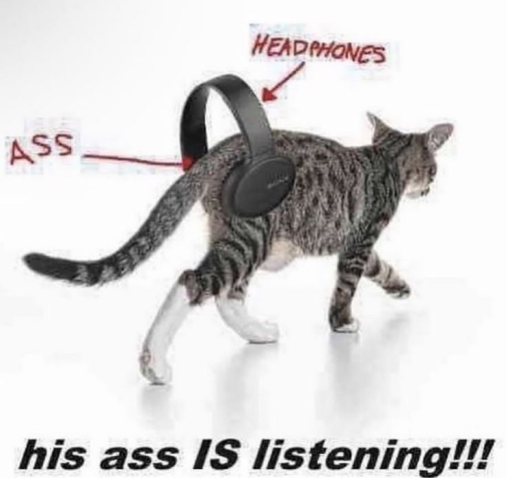 i drink soup tweet media