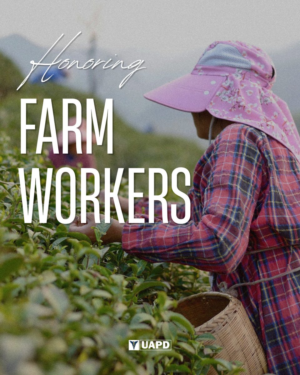 Union of American Physicians and Dentists tweet media