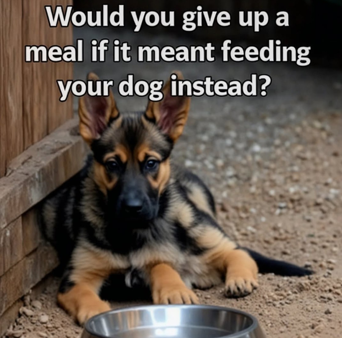 The Four Hearts tweet media