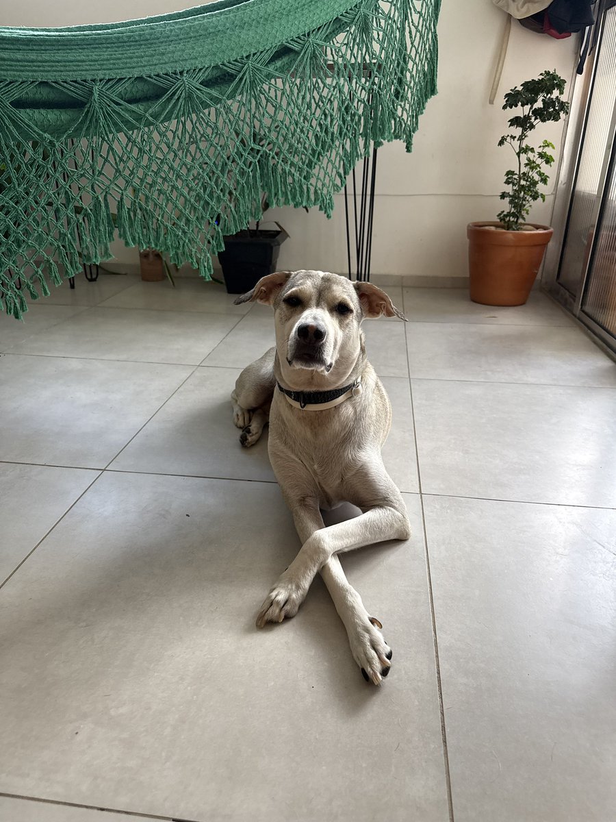 anna terra 🌍 tweet media