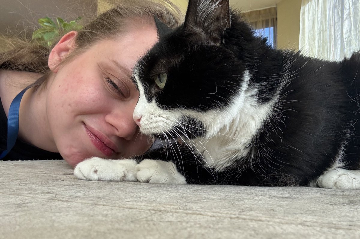 кёнинг tweet media