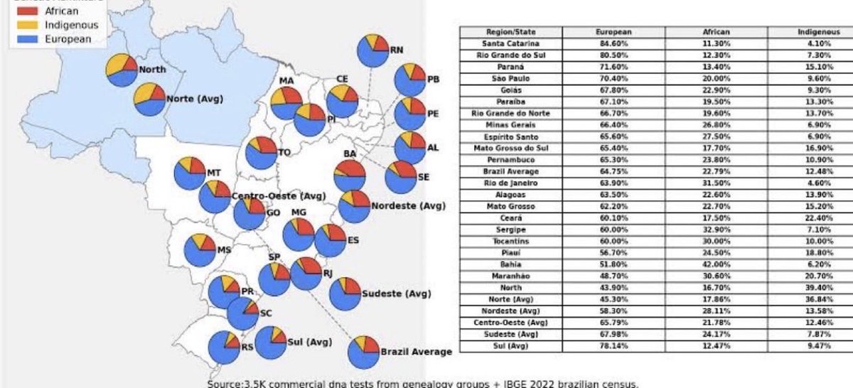 T A Y 🇧🇷 tweet media