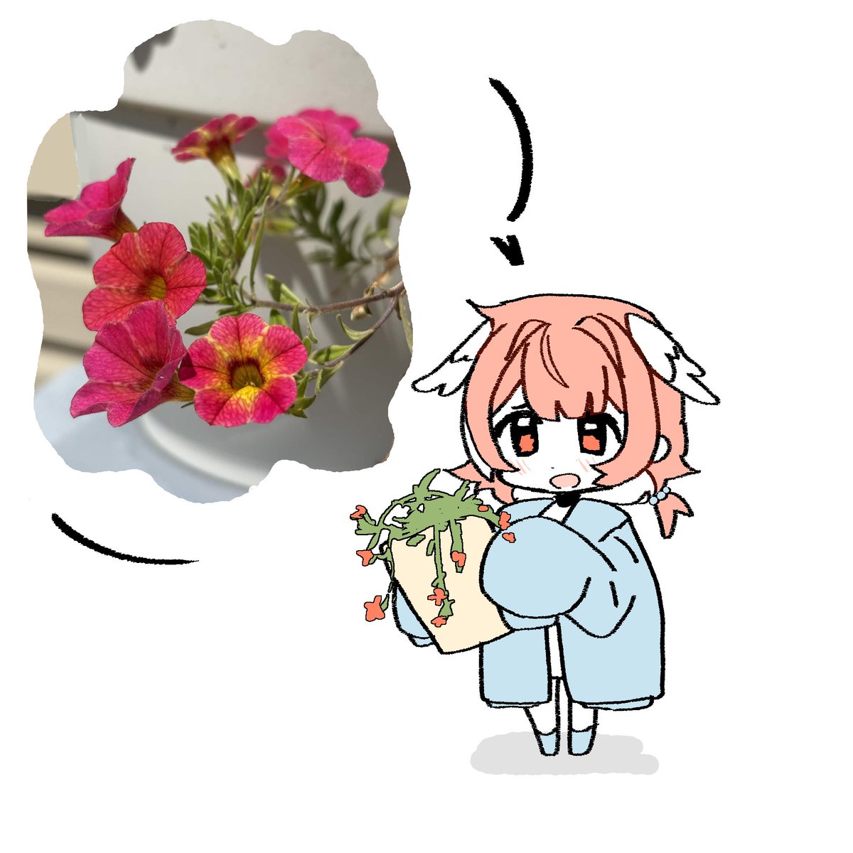 PillowDear 💌🏹 tweet media