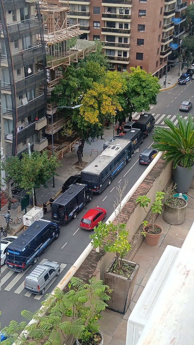 Luca Bonfante tweet media